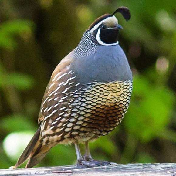 Meet your Posher, Kristina - Picture 3 of 7